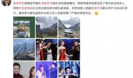 维也纳当地华人爆料视频,揭秘当地生活点滴